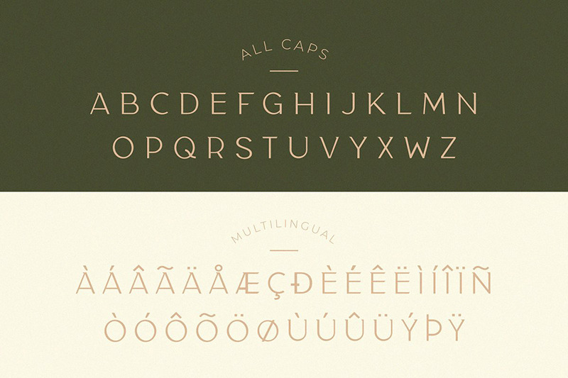 Carattere tipografico di classe Taylor - Caratteristiche Immagine 1