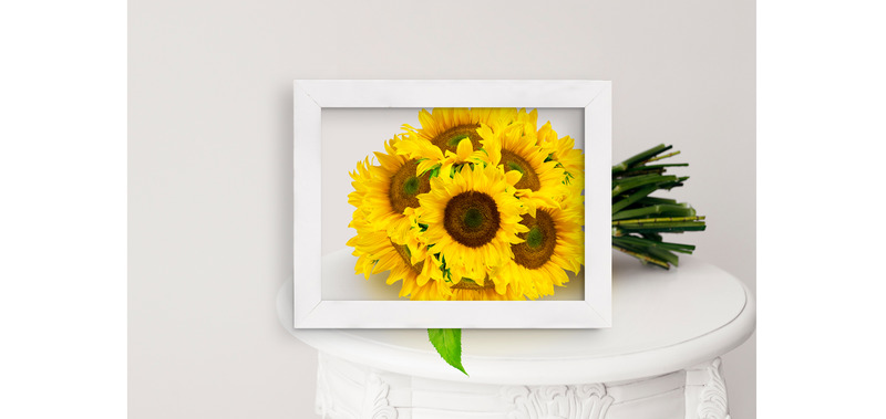 Makieta produktu Sunflowers Creator Pack - Obraz funkcji 6