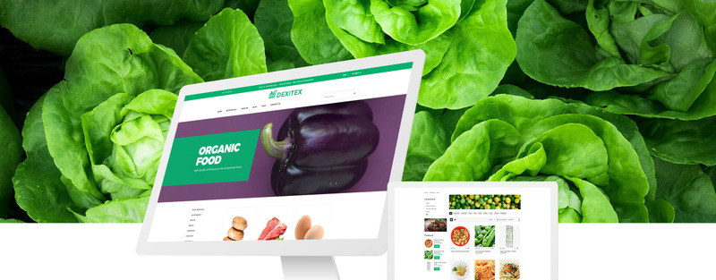 Dexitex - Convenient Grocery Online Store Shopify Theme - Features Image 1