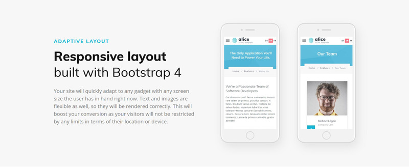 Alice - Application Multipurpose HTML5 Template Web №70682 - Features Image 7