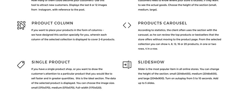 Top-Top - Gym Shoes Shopify Theme - Features Image 9