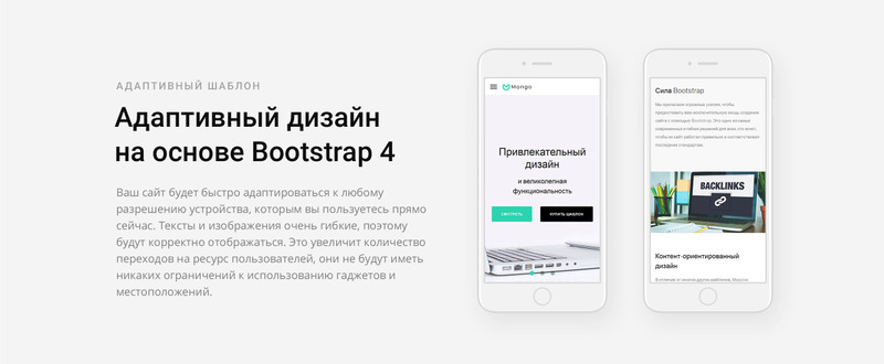 Mongo - шаблон бизнес-многостраничного веб-сайта Ru - Features Image 6