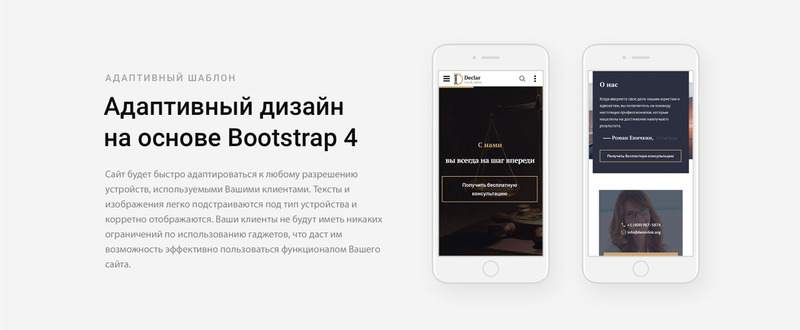 Declar - Законный многостраничный готовый к использованию шаблон сайта HTML Ru - Features Image 6