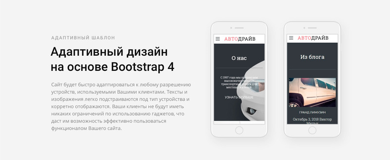 AvtoDrayv - Automobile Ready-to-Use HTML №75875 - Изображения фич 5