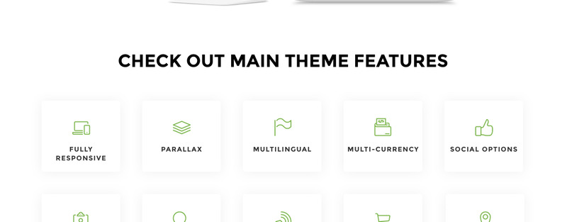 Green Life - Nutrition Responsive Simple Shopify Theme - Features Image 2