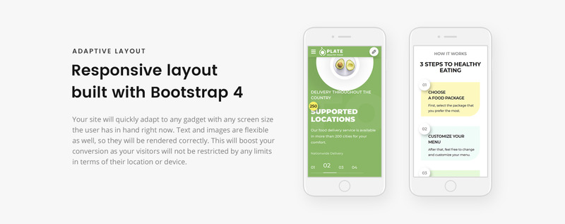 Plate - Healthy Food One Page Clean HTML Landing Page Template - Features Image 6