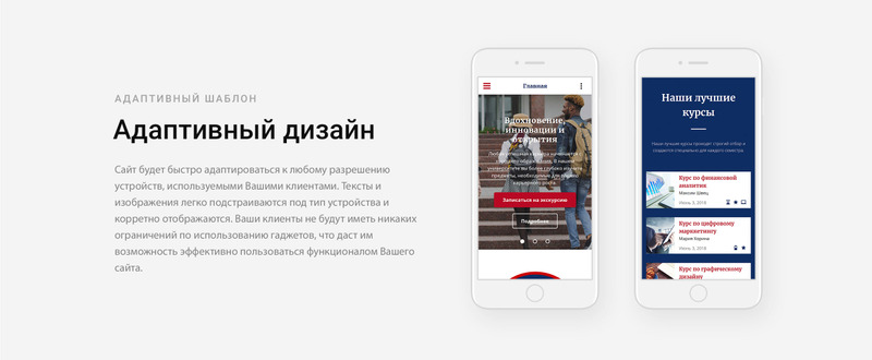 Рудольф Фостер - Готовый к использованию многостраничный шаблон веб-сайта в формате HTML Ru для университета - Features Image 6