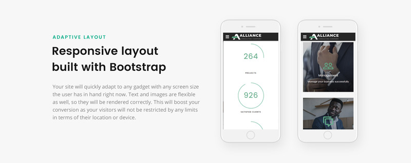 Alliance - Управление и консультирование Современный шаблон целевой страницы HTML5 - Изображения фич 6