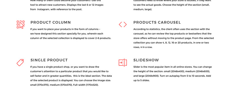 The Vinyl - Music Store eCommerce Creative Shopify Theme - Features Image 9