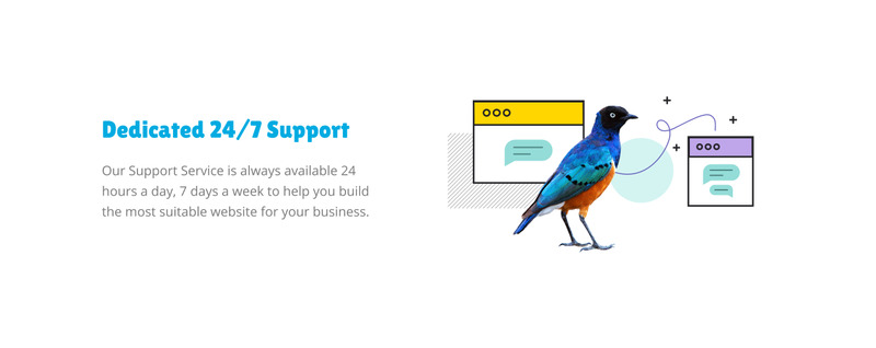 Bonobomb - Full Animated Zoo Website Template - Features Image 6