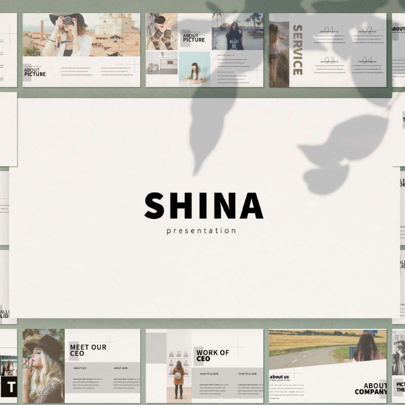 Shina Presentation PowerPoint mall - Features Image 1