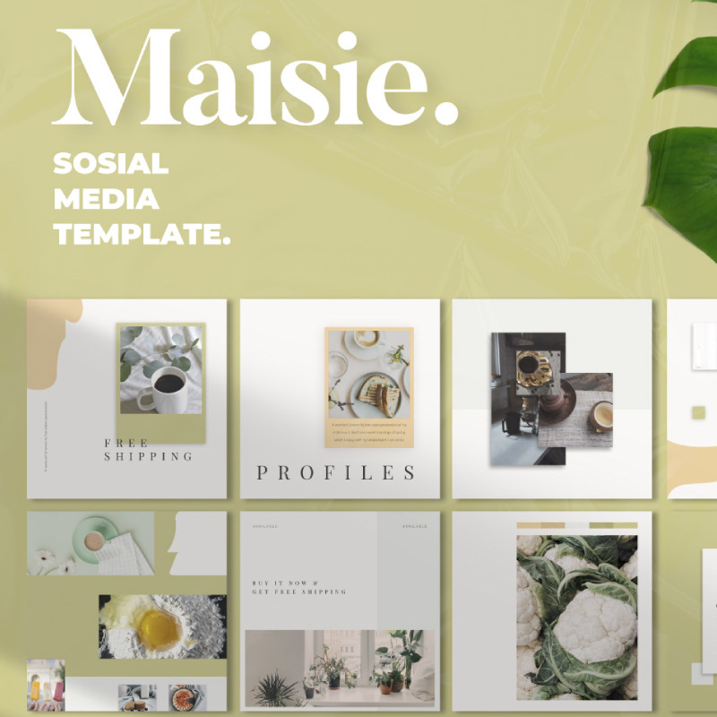 Maisie Instagram Story _ Post Social Media Template - Features Image 1