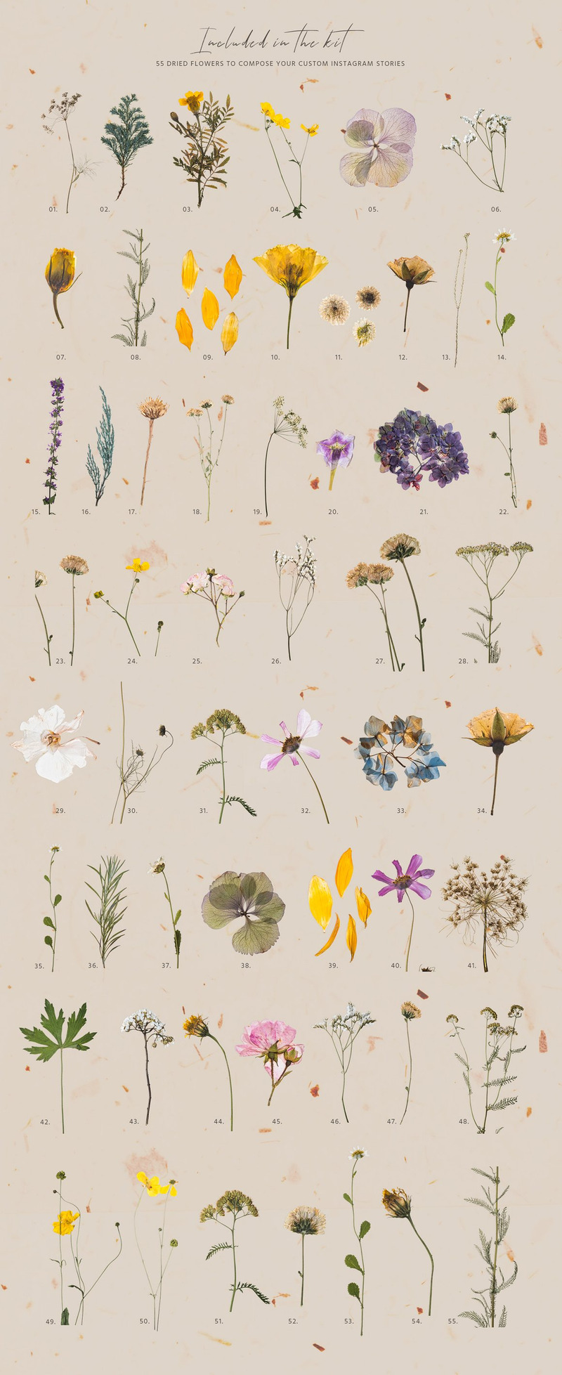 Flower Sketchbook Stories Kit Social Media - Features Image 8