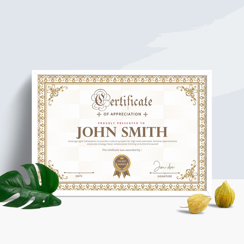 Modello di certificato di certificato professionale - Caratteristiche Immagine 1