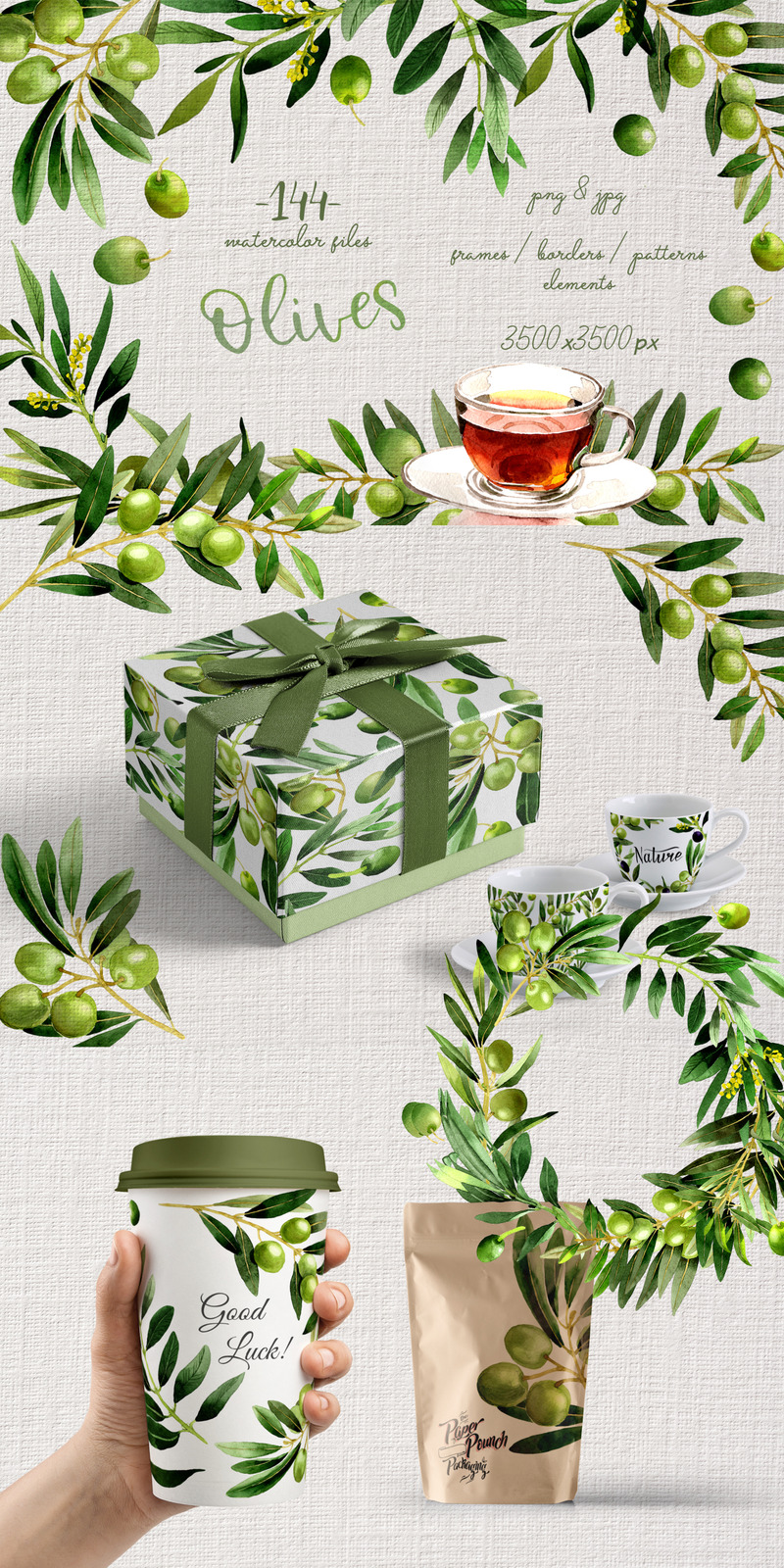Takken van Olive Tree PNG aquarel Set - illustratie - Features Image 1