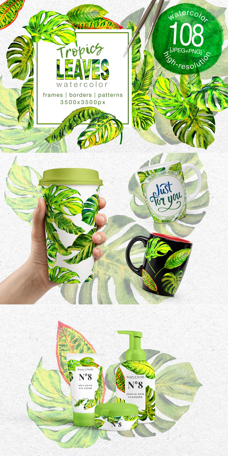 Tropik Monstera Bırakır - PNG Suluboya - İllüstrasyon - Features Image 1