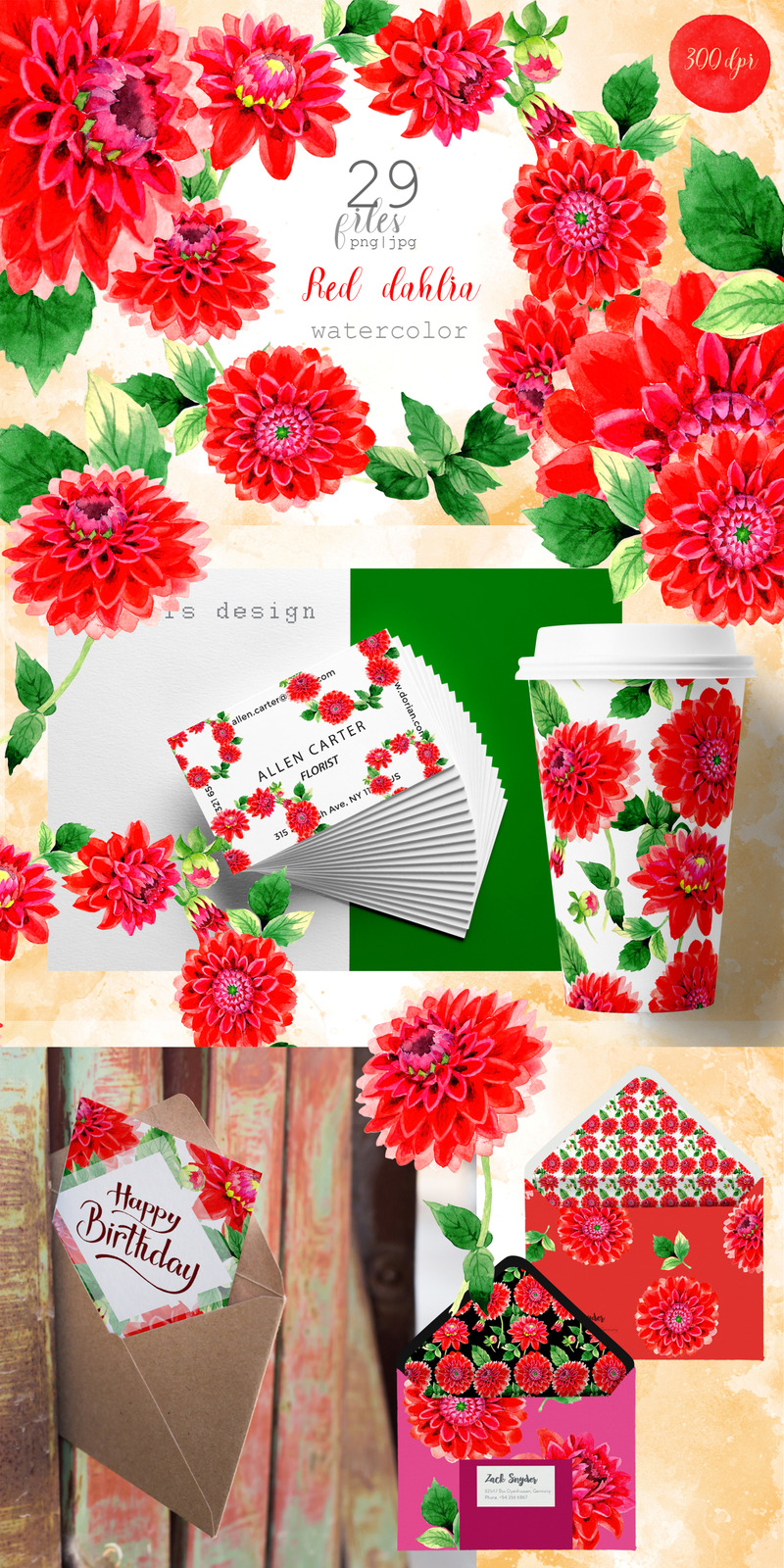 Bella Red Dahlia PNG Acquerello Set - Illustrazione - Caratteristiche Immagine 1