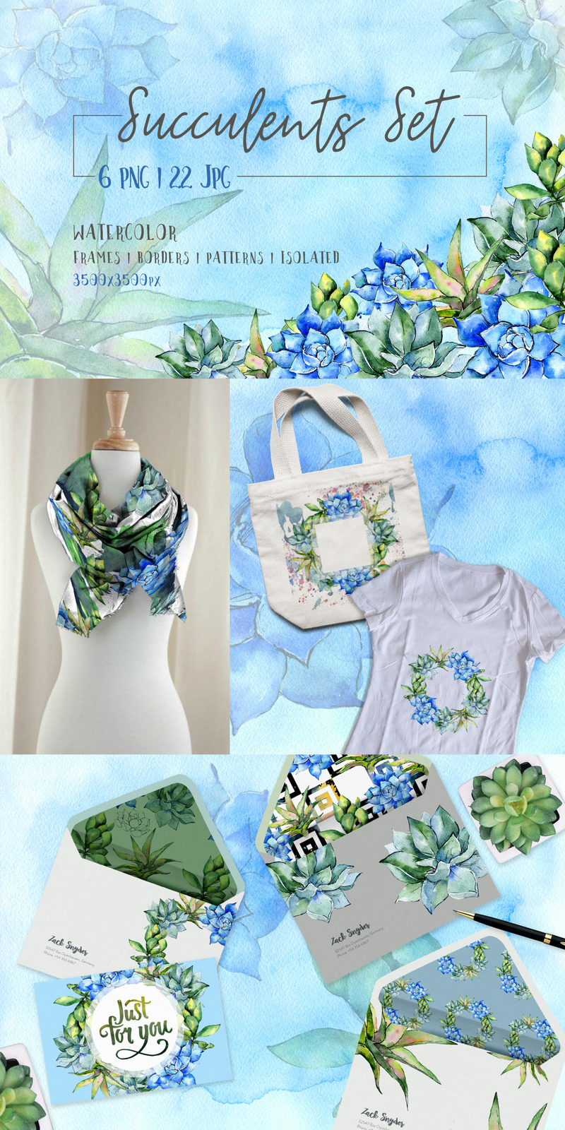 Succulent Blue Tropical Plant PNG Set - Illustration - Features Image 1