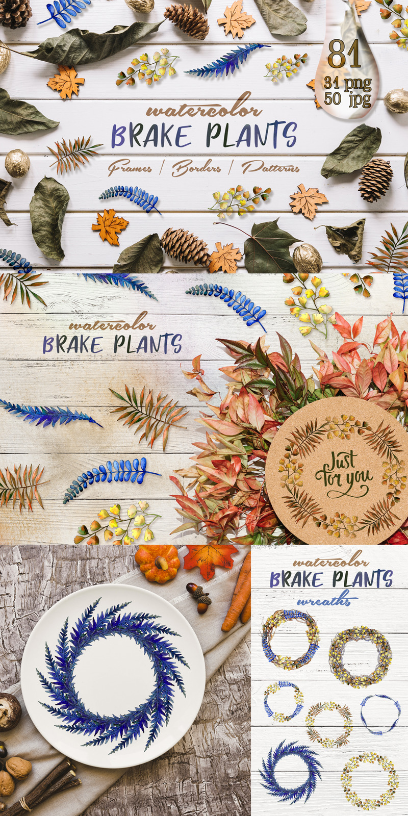 Brake Plants PNG Watercolor Set Illustration