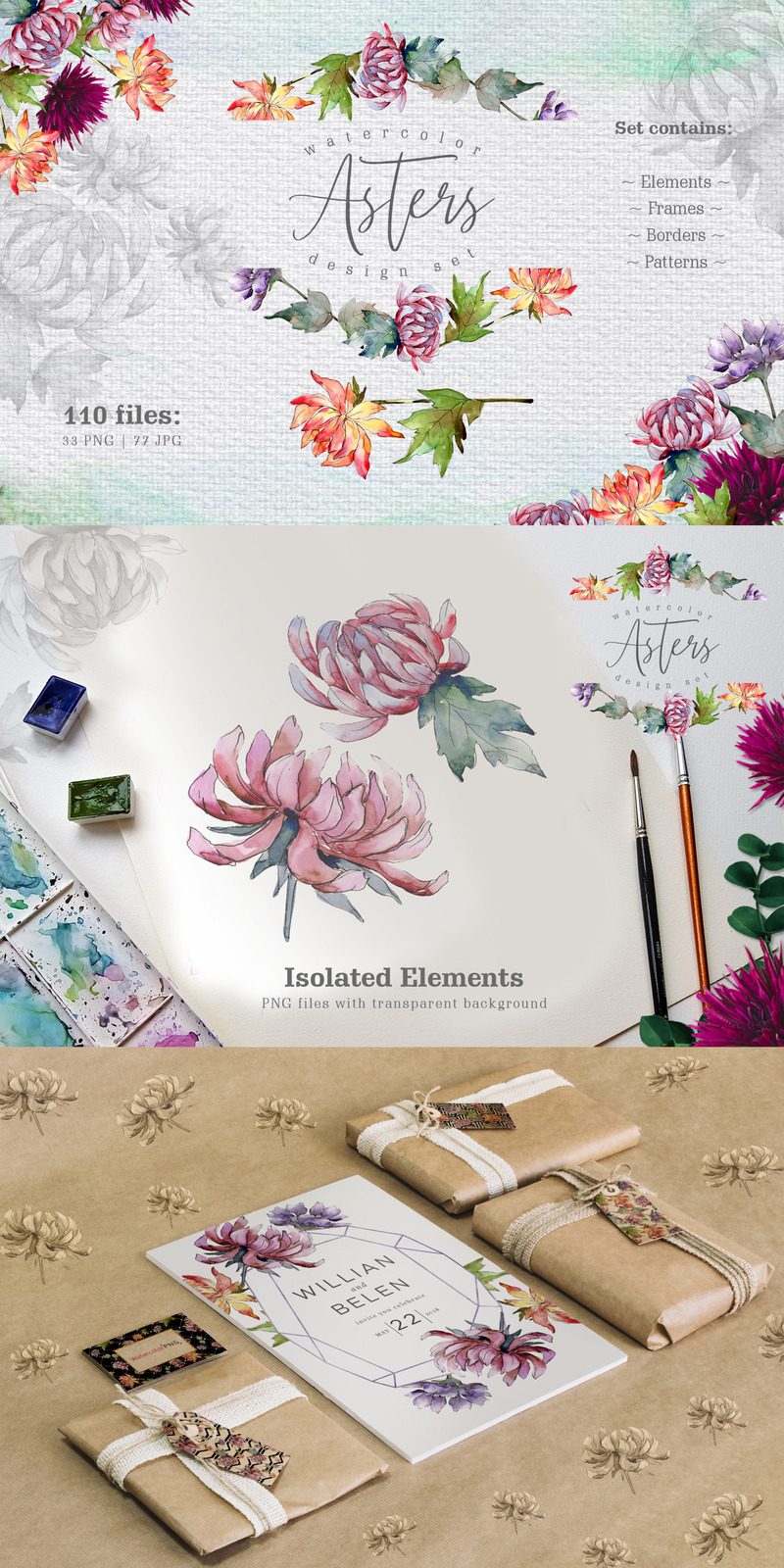 Watercolor Asters PNG Design Set - Illustration - Features Image 1