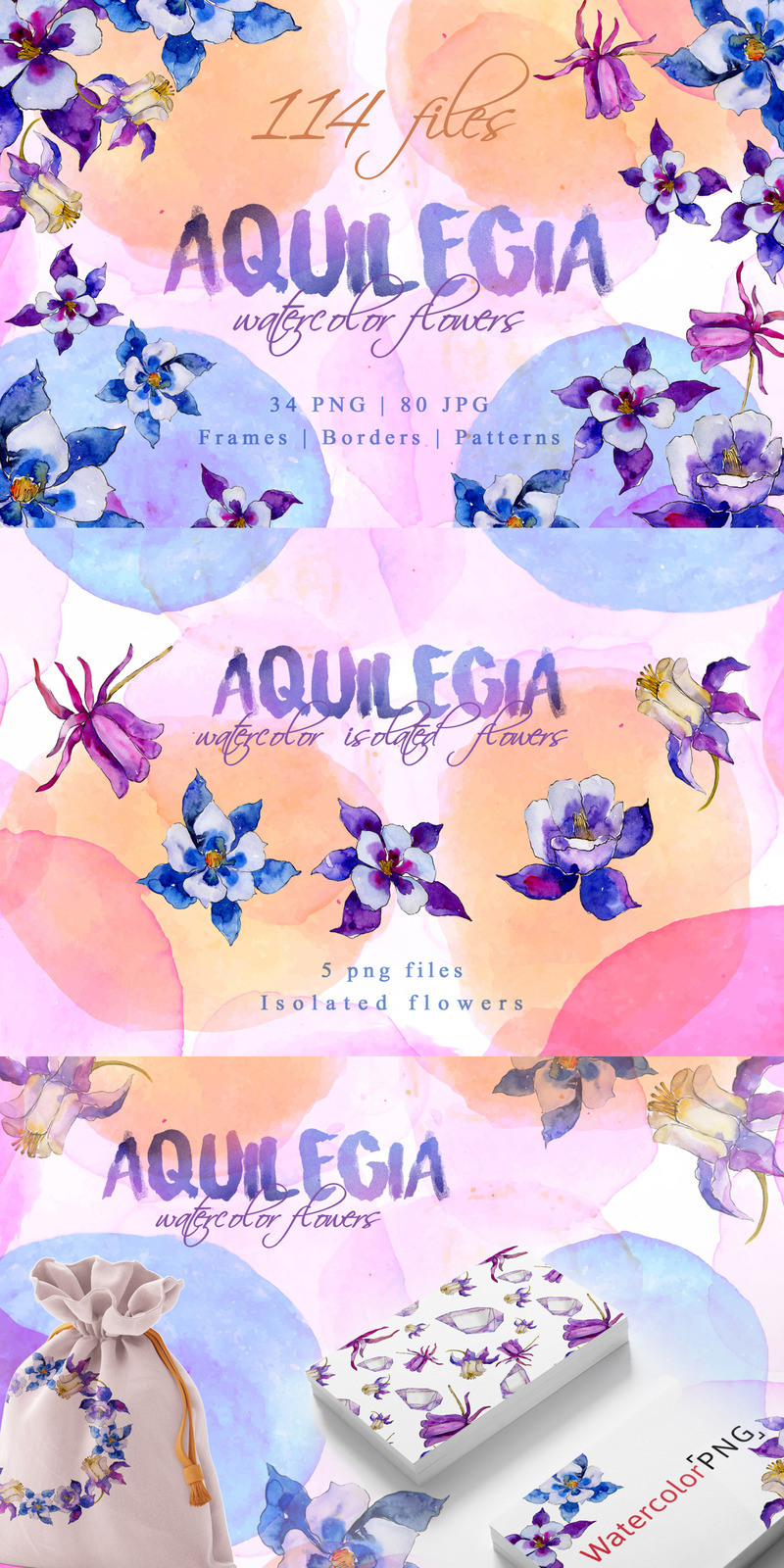 Aquilegia Watercolor png - Illustration - TemplateMonster