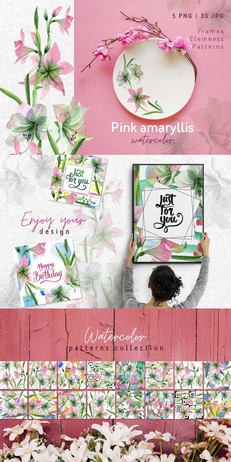 Pembe Nergis Zambağı Png - illüstrasyon - Features Image 1