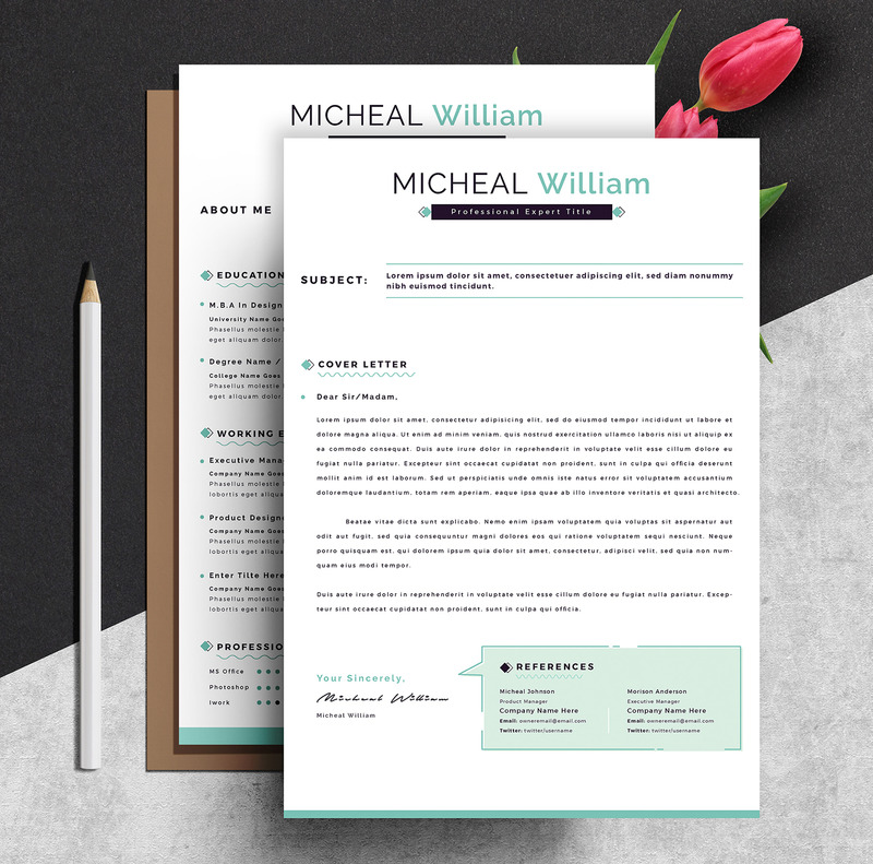 Modello di curriculum cv pulito e professionale Word Apple Pages - Caratteristiche Immagine 3