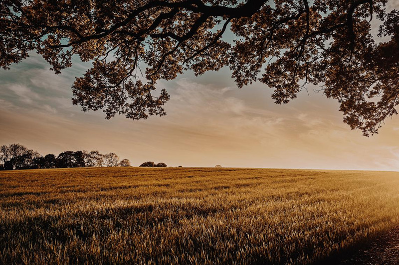 Filme cinematográfico LUTS para vídeos e fotos - Final Cut Pro Template - Apresenta Imagens 3