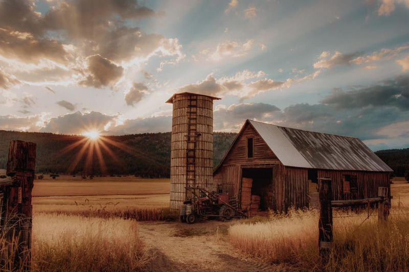 Filme cinematográfico LUTS para vídeos e fotos - Final Cut Pro Template - Apresenta Imagens 6