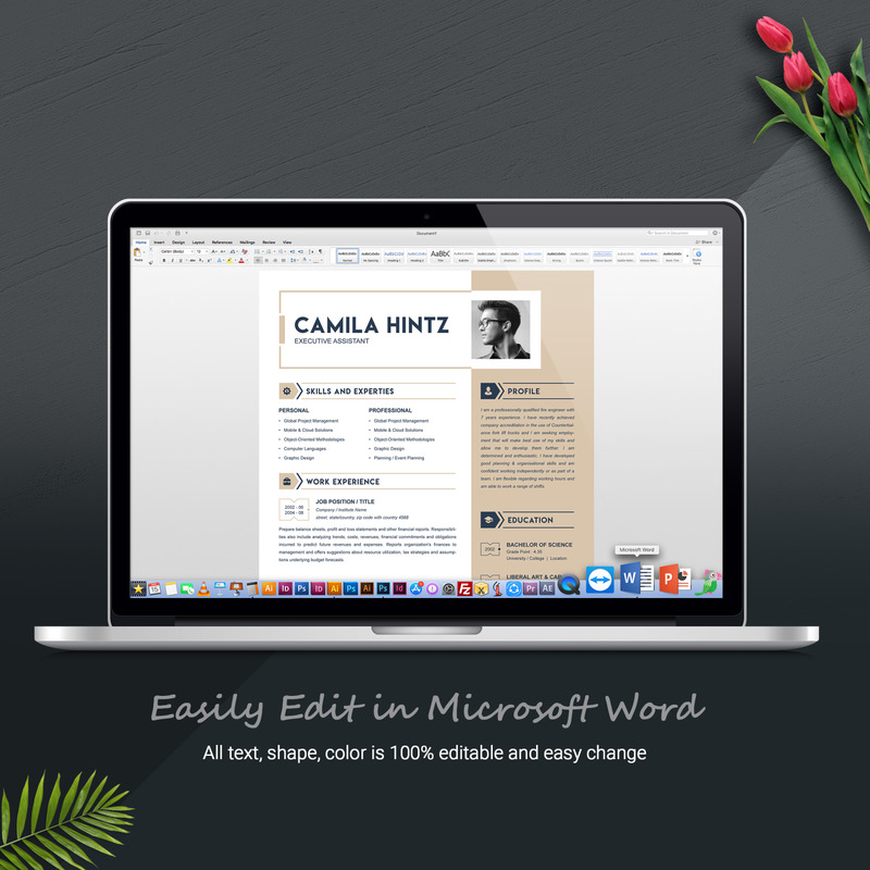 Camila Hintz Resume Template - Features Image 6