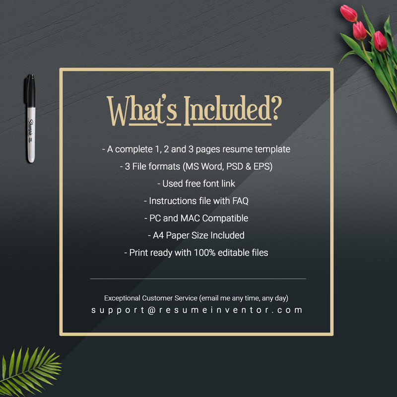 Camila Hintz Resume Template - Features Image 7