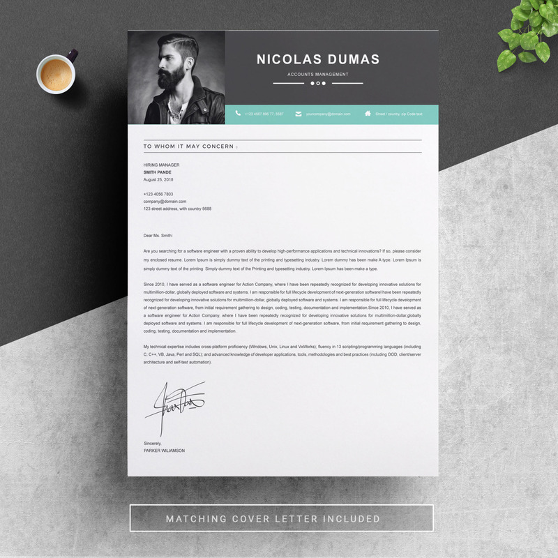 Nicolas Dumas Resume Template - Features Image 3