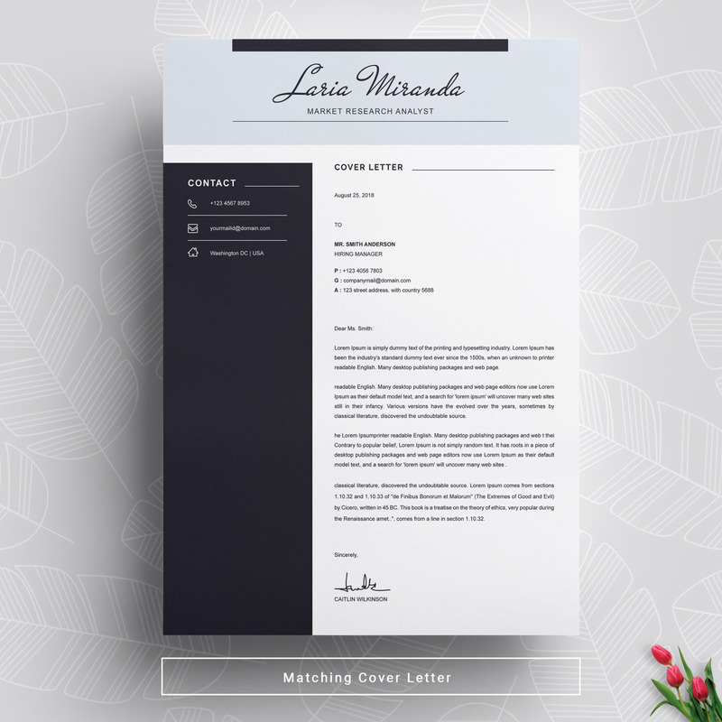 Laria Resume Template - Features Image 4