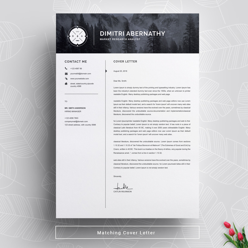 Abarnathy Resume Template - Features Image 4
