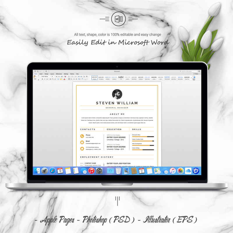 Steven Resume Template - Features Image 5