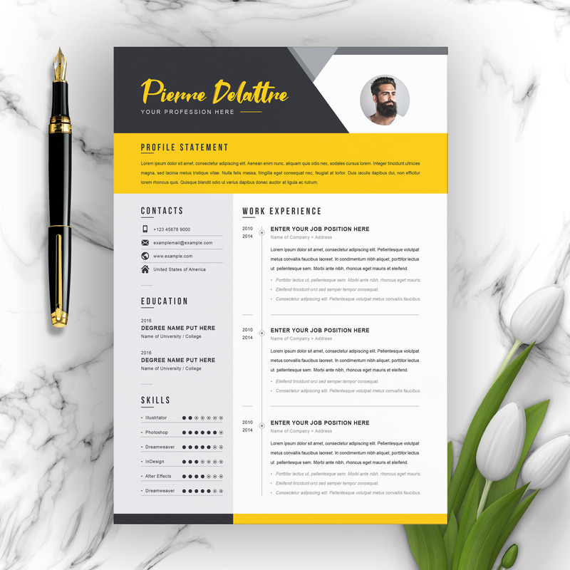 Yellow for Pierre Delatree Resume Template - Features Image 1
