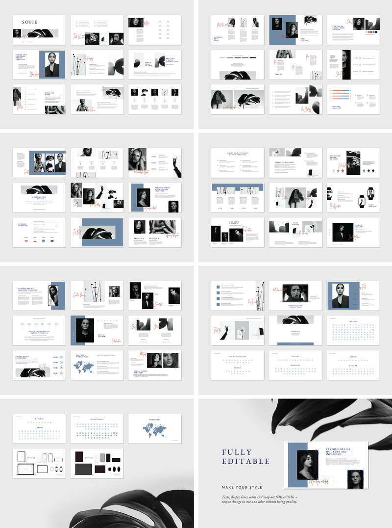 SOFIE-主题演讲模板 - Features Image 1