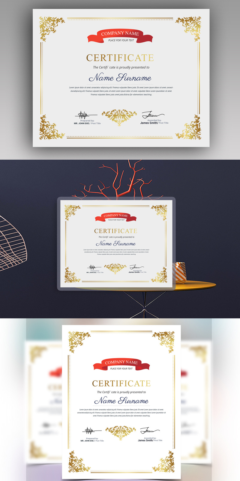 Sophisticated Modern Certificate Template - Features Image 1