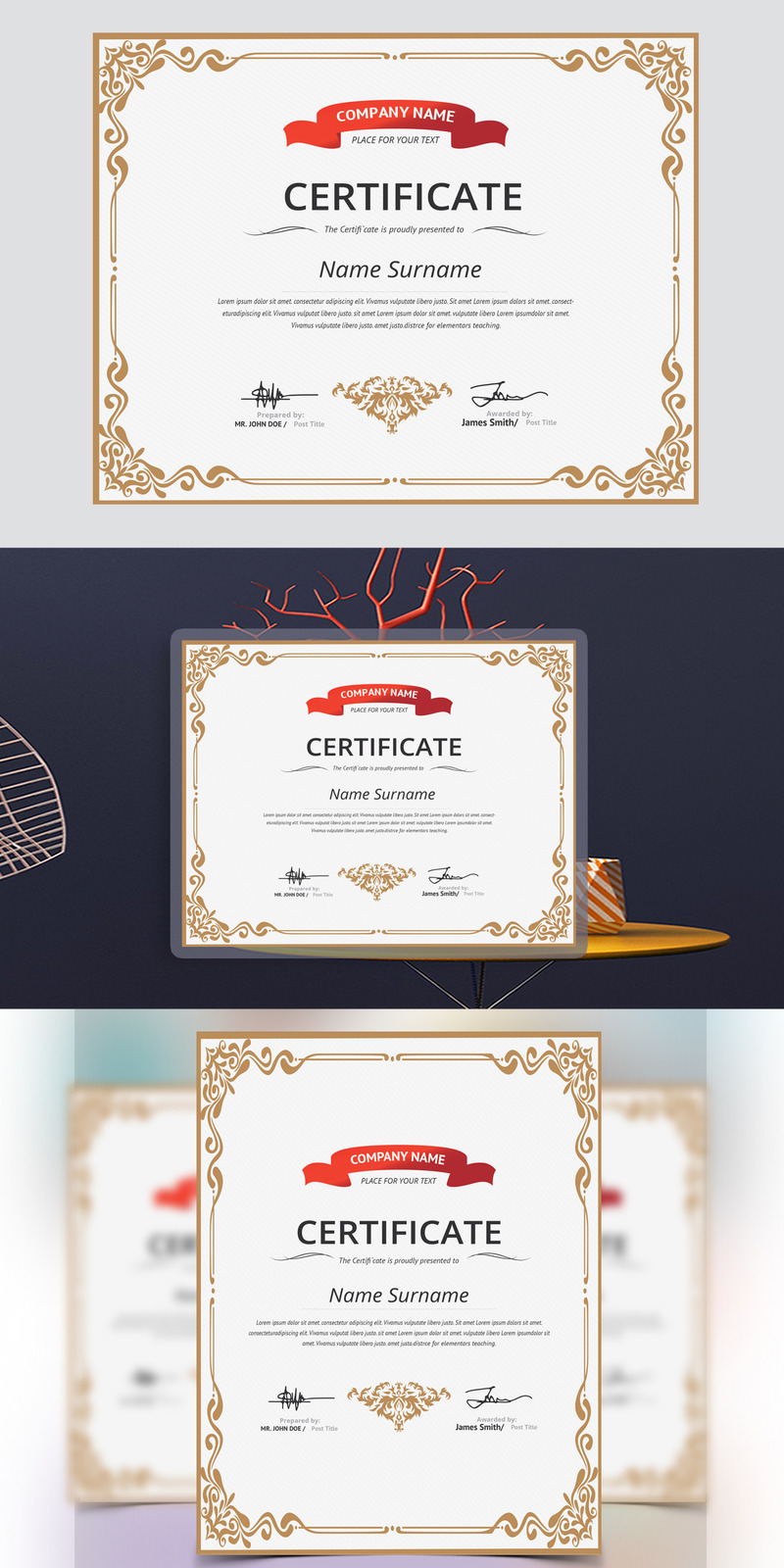 Clean & Professional Certificate Template - Features Image 1