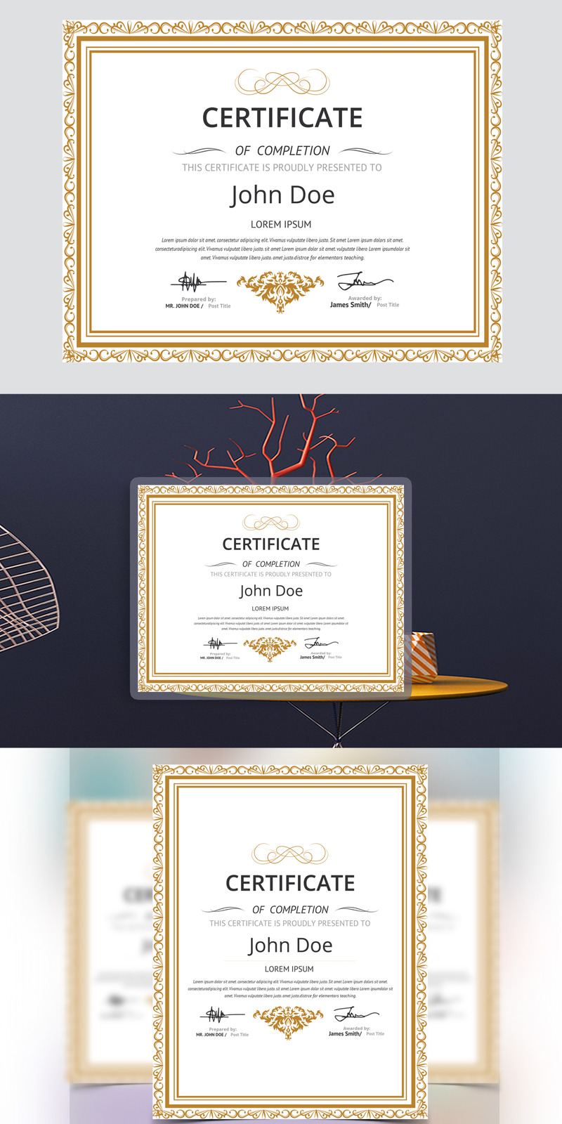 Elegant & Clean Certificate Template - Features Image 1