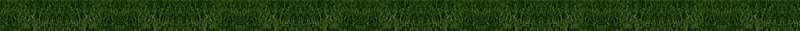 Gardenpro - Landscape & Gardening Website Template - Features Image 1