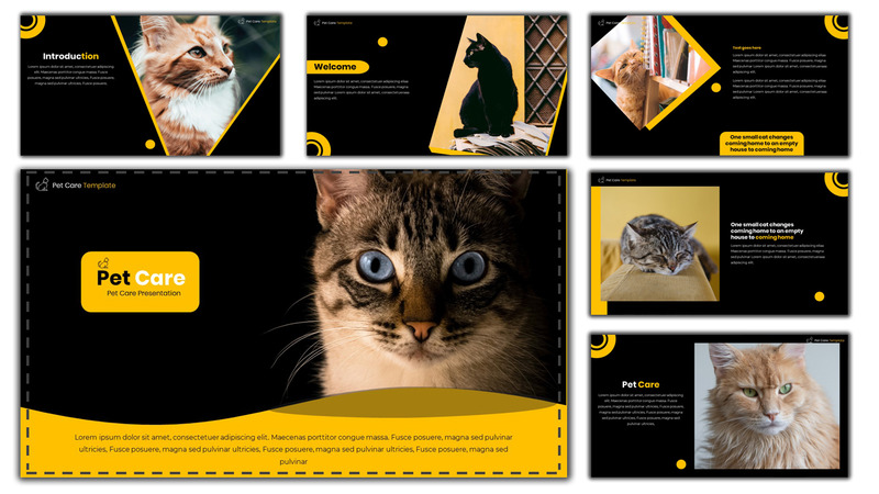 Pet Care - Creative PowerPoint Template - Features Image 1