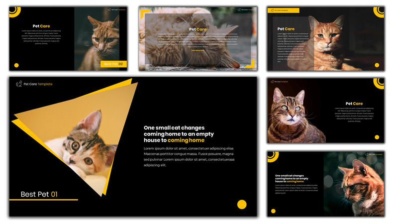 Pet Care - Creative PowerPoint Template - Features Image 2