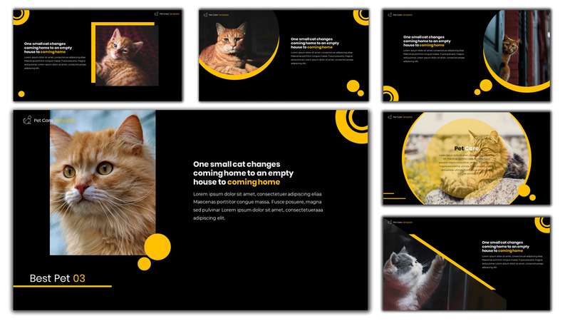 Pet Care - Creative PowerPoint Template - Features Image 3