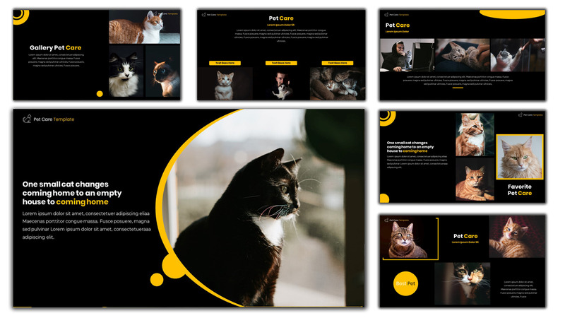 Pet Care - Creative PowerPoint Template - Features Image 5