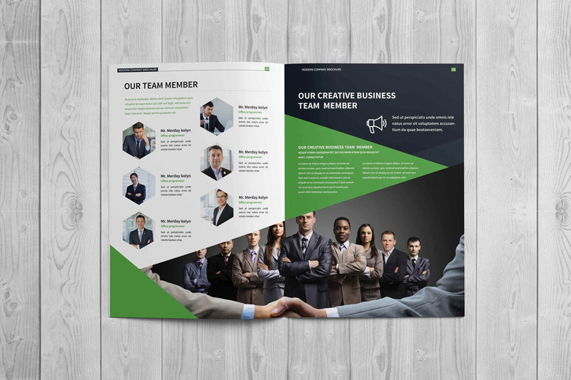 Company Profile Brochure Corporate Identity Template - Features Image 4