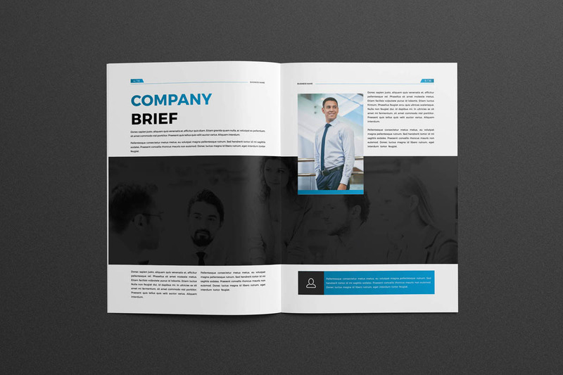 Company Profile Brochure Corporate Identity Template - Features Image 3