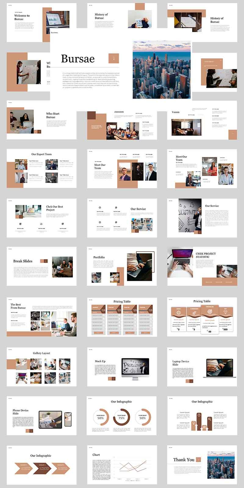 Bursae Google Slides - Features Image 1