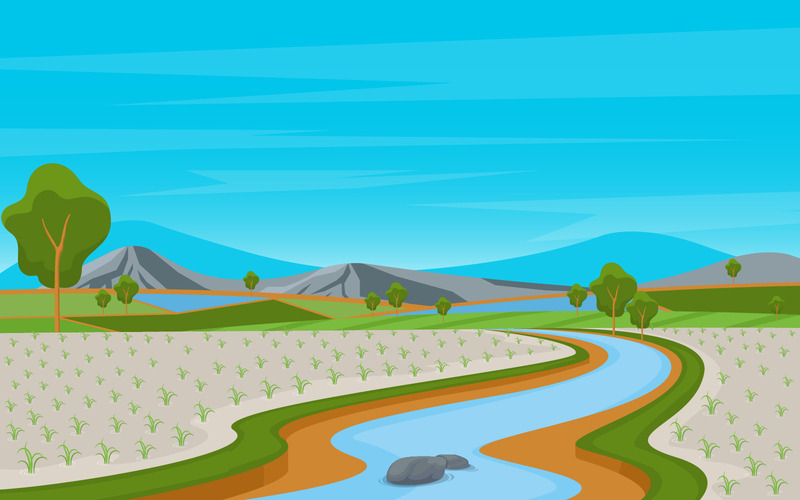Campo de arroz asiático - Ilustración - Características Imagen 1