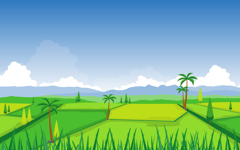 Rice Field Paddy - Illustration - Features Image 1